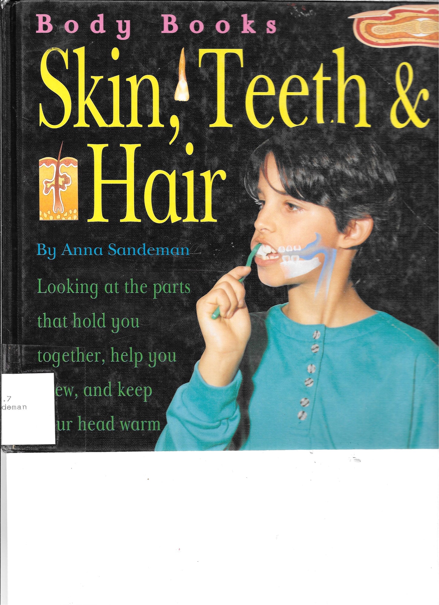 Body Books Skin, Teeth, & Hair